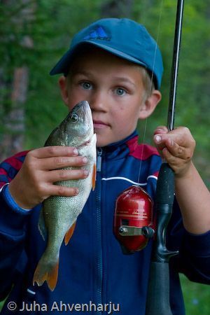 Juha Ahvenharju Photography