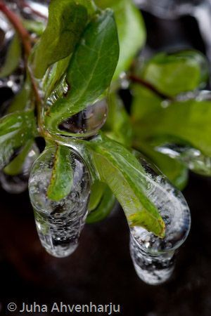 Juha Ahvenharju Photography