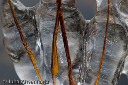 Juha Ahvenharju Photography