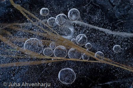 Juha Ahvenharju Photography