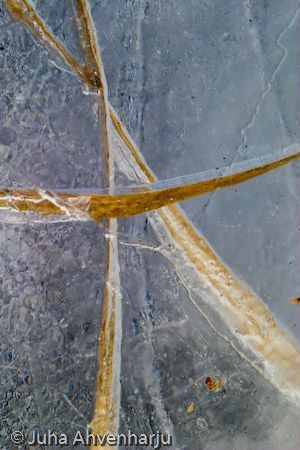 Juha Ahvenharju Photography