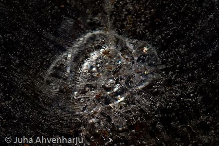 Juha Ahvenharju Photography