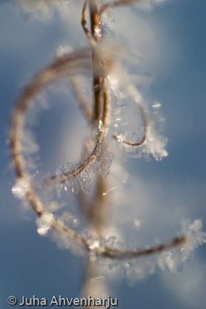 Juha Ahvenharju Photography