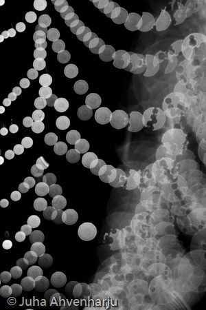 Juha Ahvenharju Photography