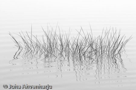 Juha Ahvenharju Photography