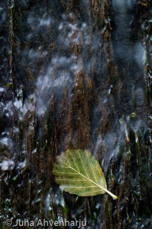 Juha Ahvenharju Photography