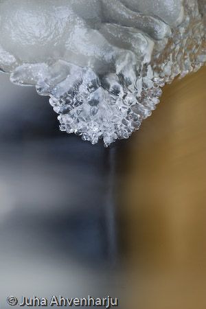 Juha Ahvenharju Photography