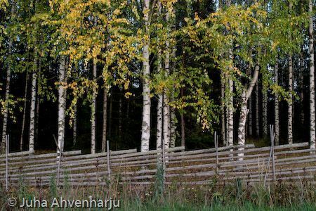 Juha Ahvenharju Photography