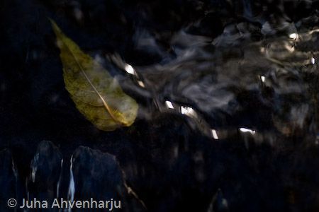 Juha Ahvenharju Photography