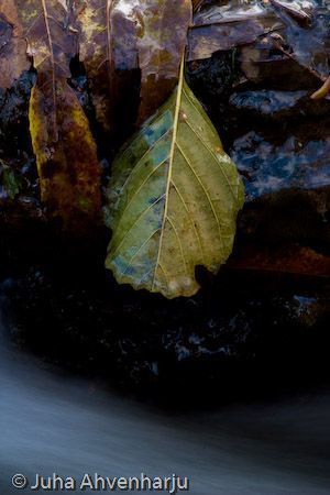 Juha Ahvenharju Photography