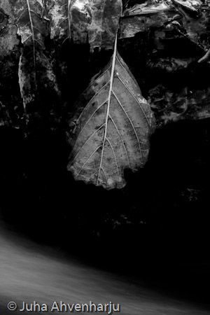 Juha Ahvenharju Photography