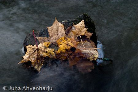 Juha Ahvenharju Photography
