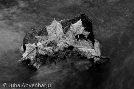 Juha Ahvenharju Photography