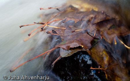 Juha Ahvenharju Photography