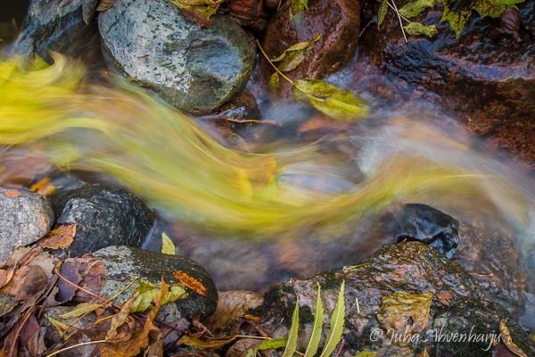 Juha Ahvenharju Photography