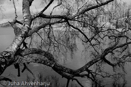 Juha Ahvenharju Photography