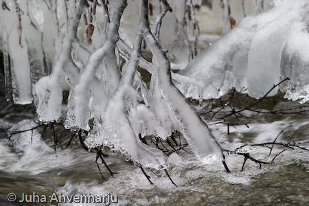Juha Ahvenharju Photography