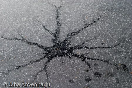 Juha Ahvenharju Photography