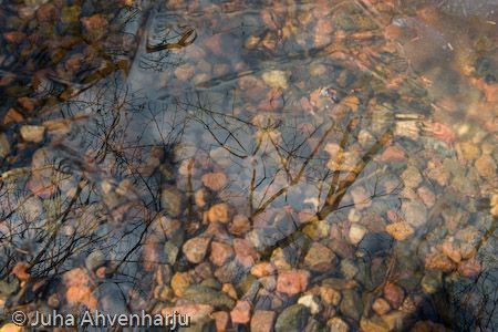 Juha Ahvenharju Photography