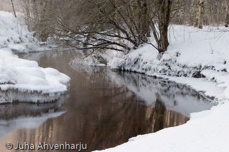 Juha Ahvenharju Photography