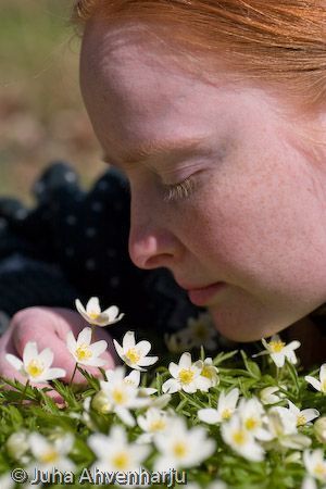 Juha Ahvenharju Photography