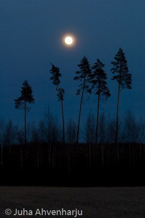 Juha Ahvenharju Photography