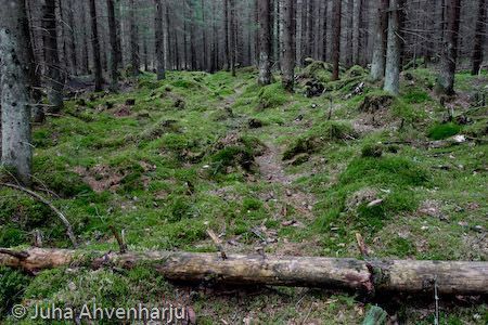 Juha Ahvenharju Photography