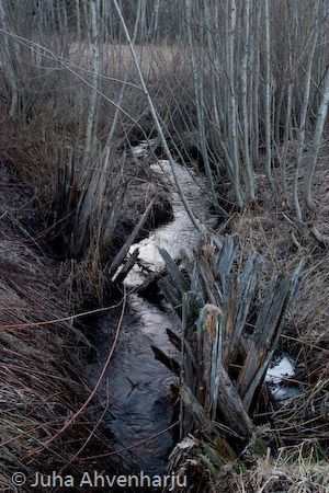 Juha Ahvenharju Photography