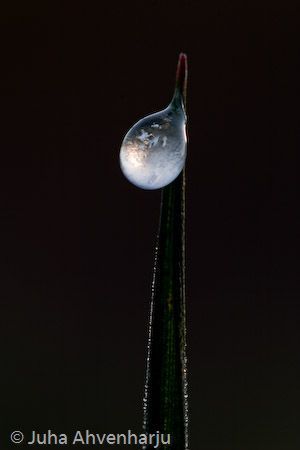 Juha Ahvenharju Photography