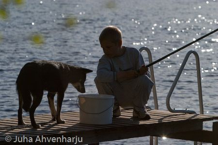 Juha Ahvenharju Photography