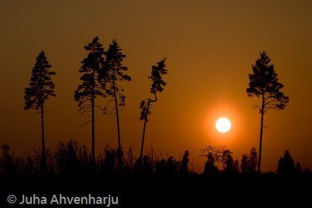 Juha Ahvenharju Photography
