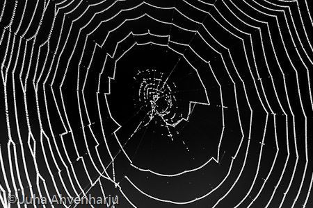 Juha Ahvenharju Photography