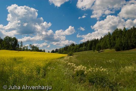 Juha Ahvenharju Photography