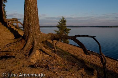 Juha Ahvenharju Photography