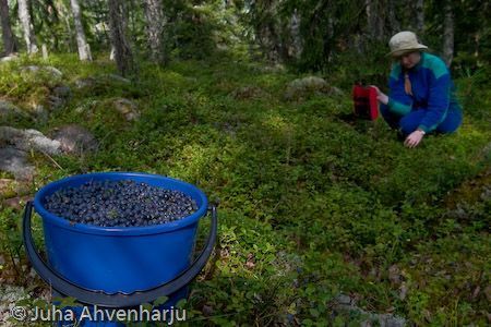 Juha Ahvenharju Photography