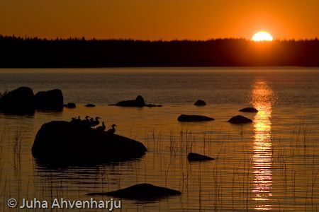 Juha Ahvenharju Photography