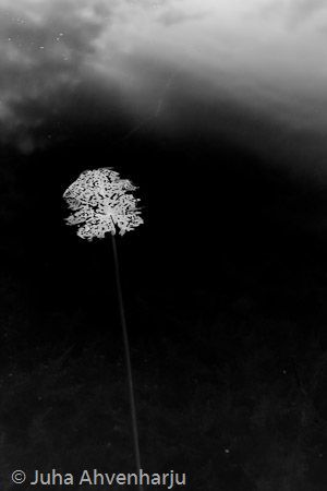 Juha Ahvenharju Photography