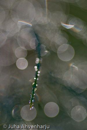 Juha Ahvenharju Photography