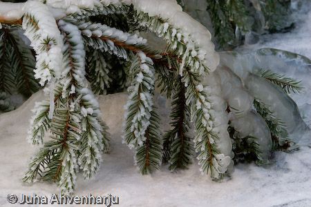 Juha Ahvenharju Photography