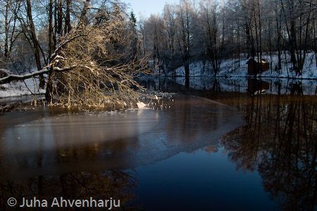 Juha Ahvenharju Photography