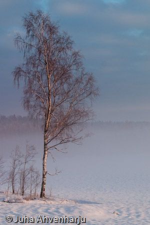 Juha Ahvenharju Photography