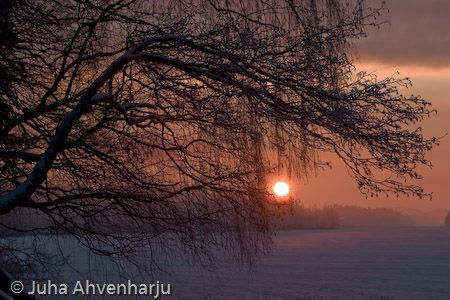 Juha Ahvenharju Photography