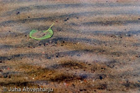 Juha Ahvenharju Photography