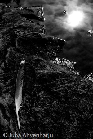 Juha Ahvenharju Photography