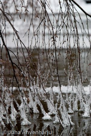 Juha Ahvenharju Photography