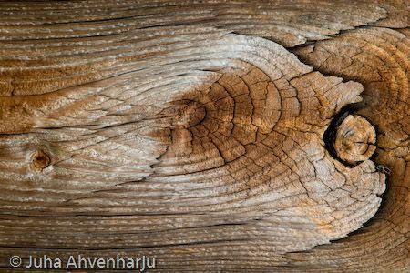 Juha Ahvenharju Photography