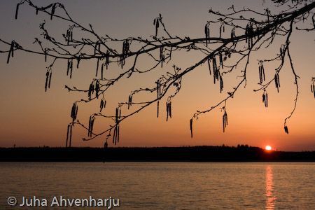 Juha Ahvenharju Photography