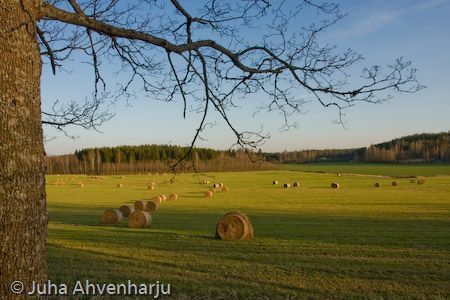 Juha Ahvenharju Photography