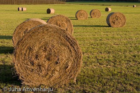 Juha Ahvenharju Photography