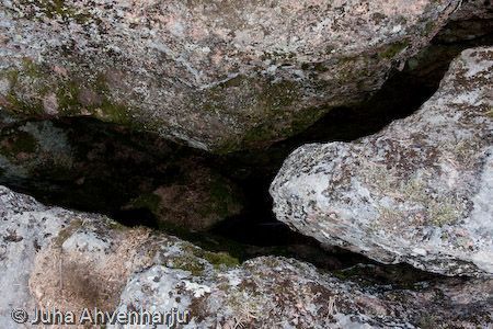 Juha Ahvenharju Photography